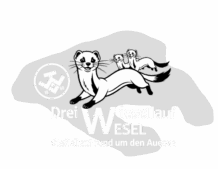 Dreiwiesellauf